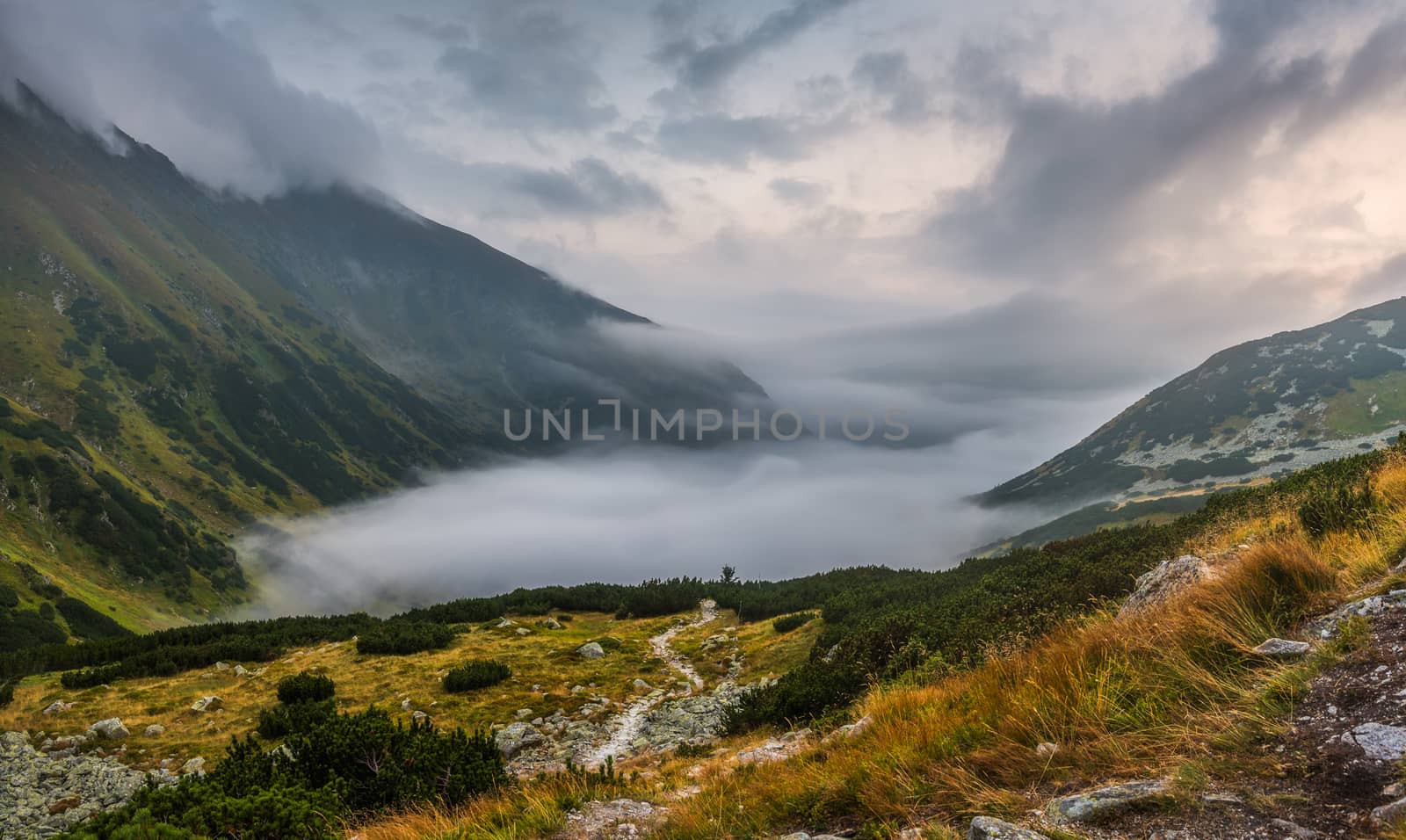 Mountains Landscape with Fog in Ziarska Valley