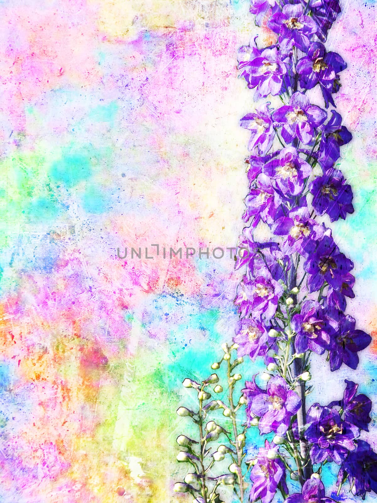 wallpaper. colorful background, blue flower