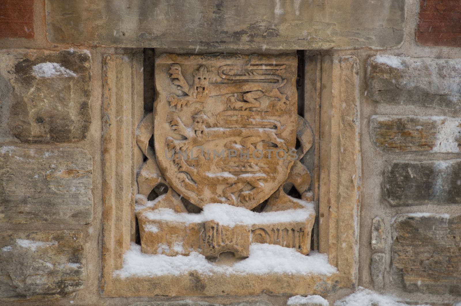 Coat of arms in the folly at the MacKenzie King estate, Gatineau Park. Snowing