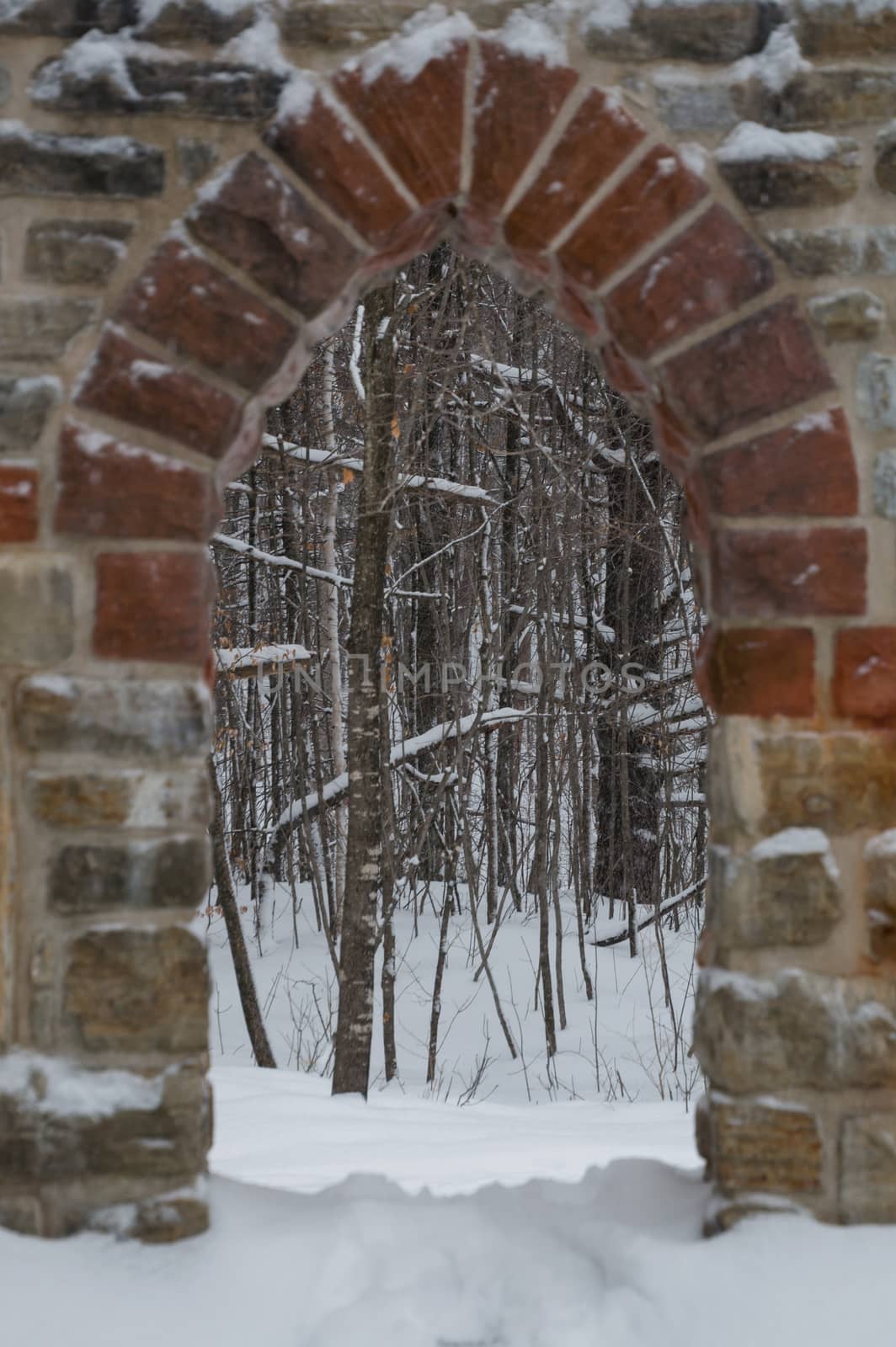 Gothic stone door way with maple trees in the snow. Snowing