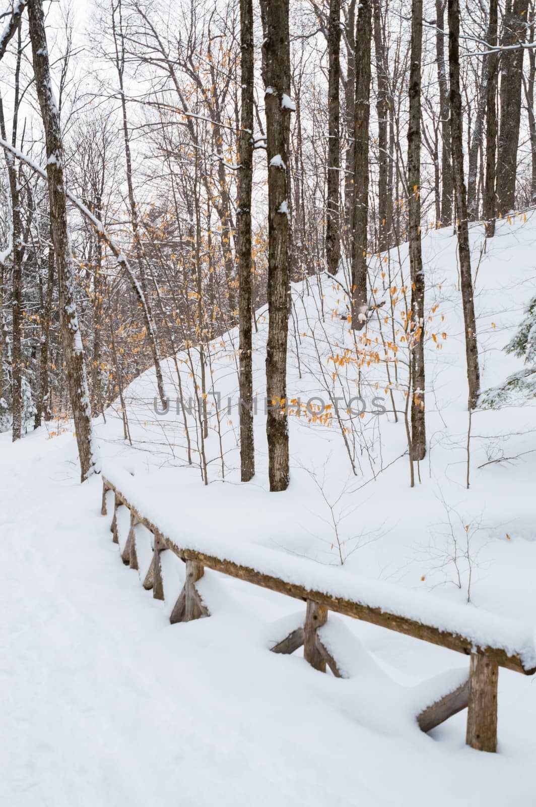 Ornamental wooden fence and deciduous trees in the snow