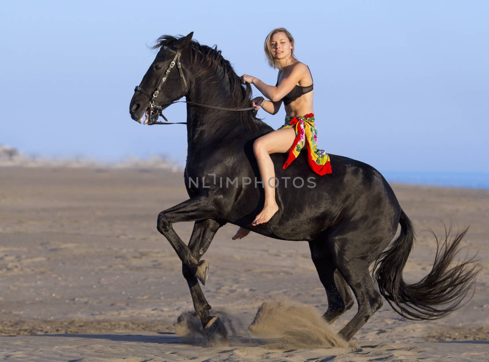 horsewoman on the beach by cynoclub