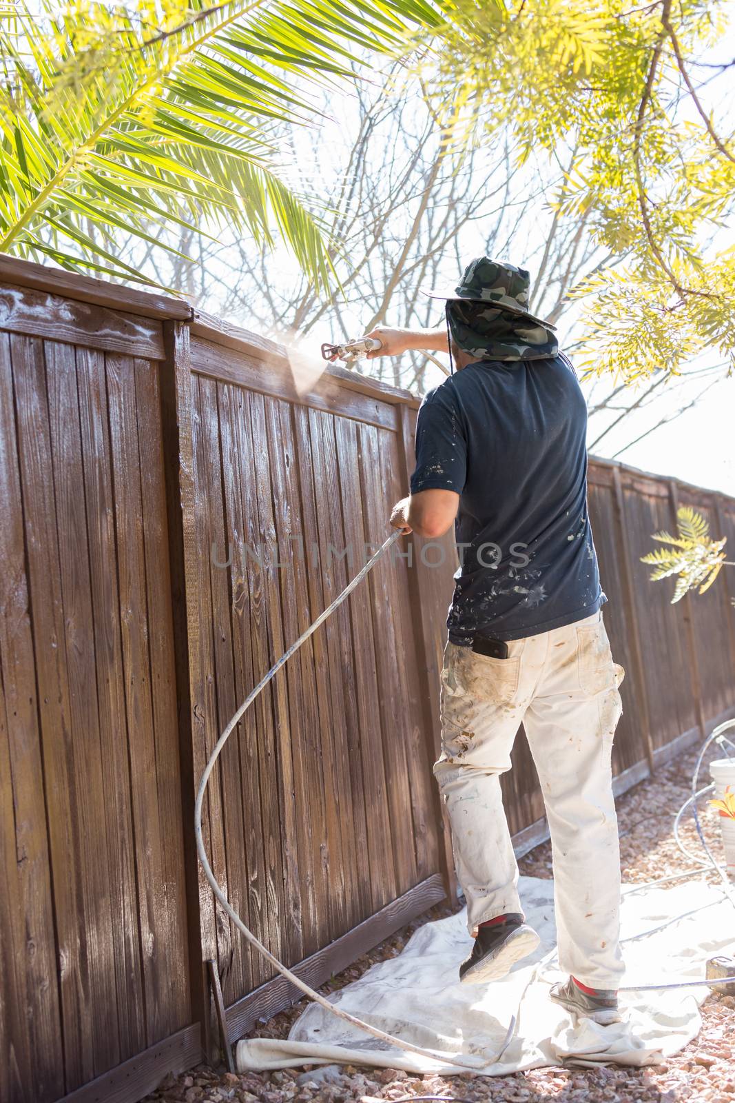 Professional Painter Spraying House Yard Fence with Wood Stain.