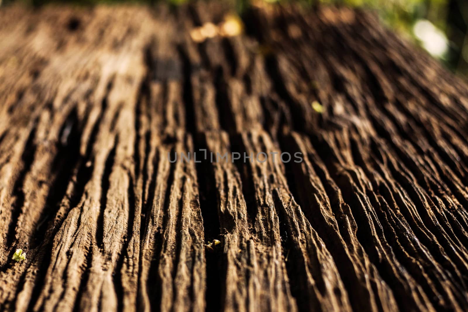 The surface of old wood plate.