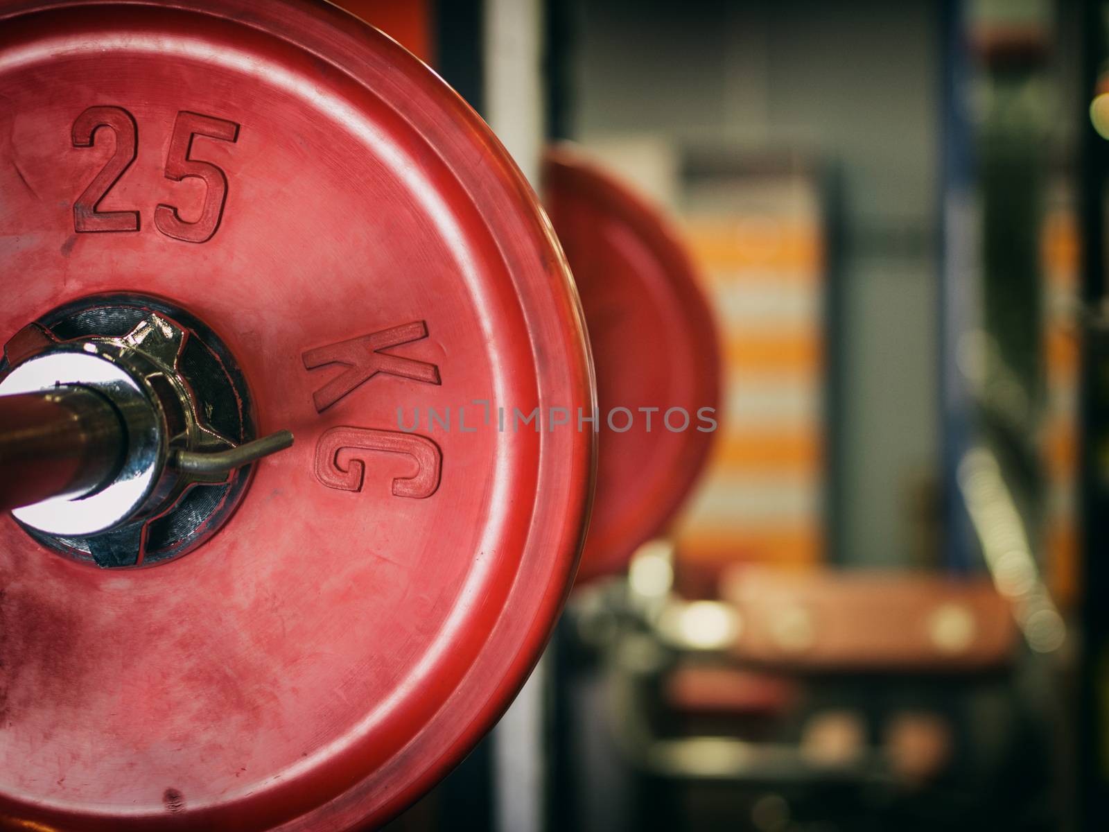 Barbell ready to workout by fascinadora