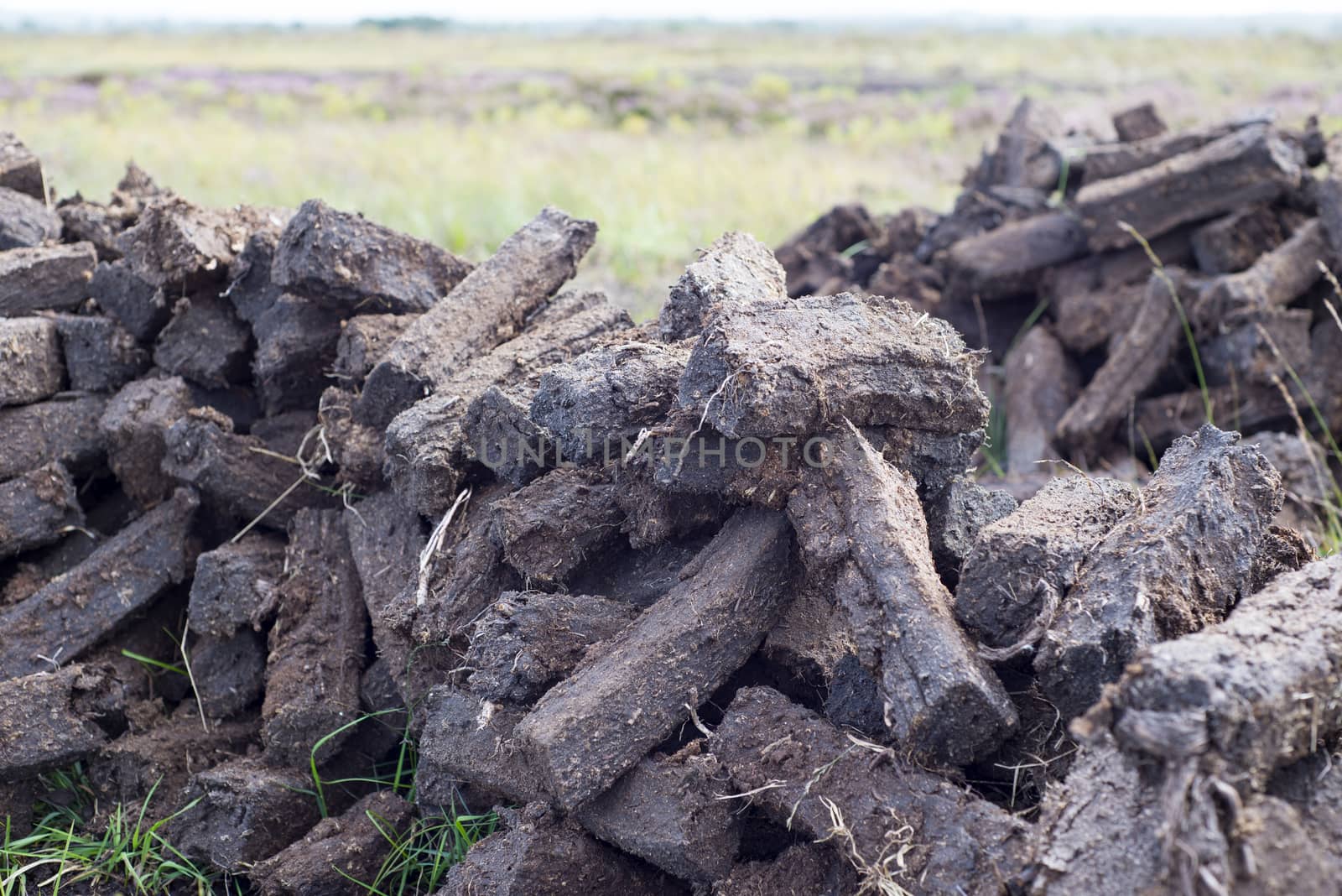 turf stacked up for the bog winds to dry in county kerry on the wild atlantic way of ireland