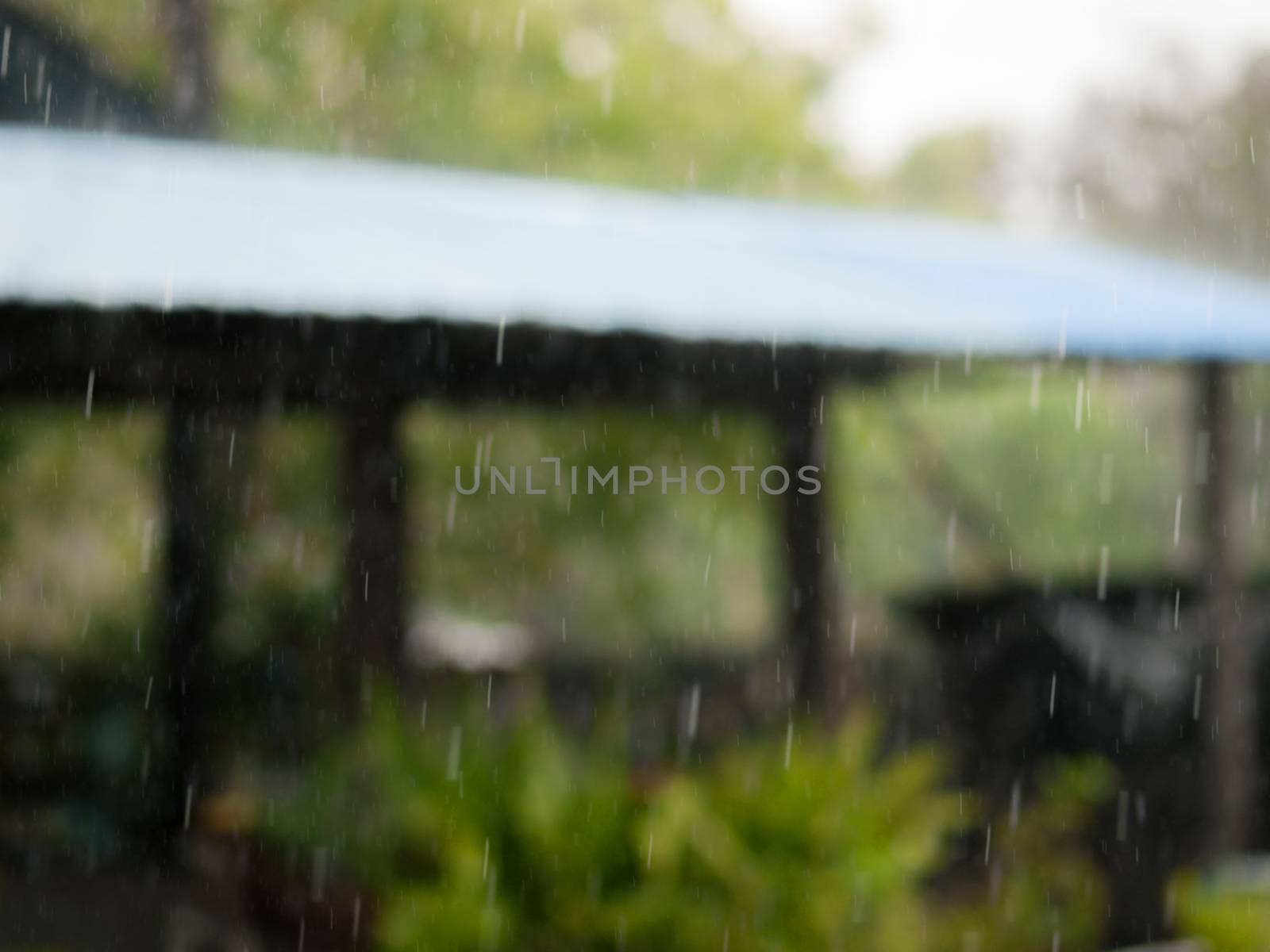 COLOR PHOTO OF BLURRY SHOT OF RAINDROPS
