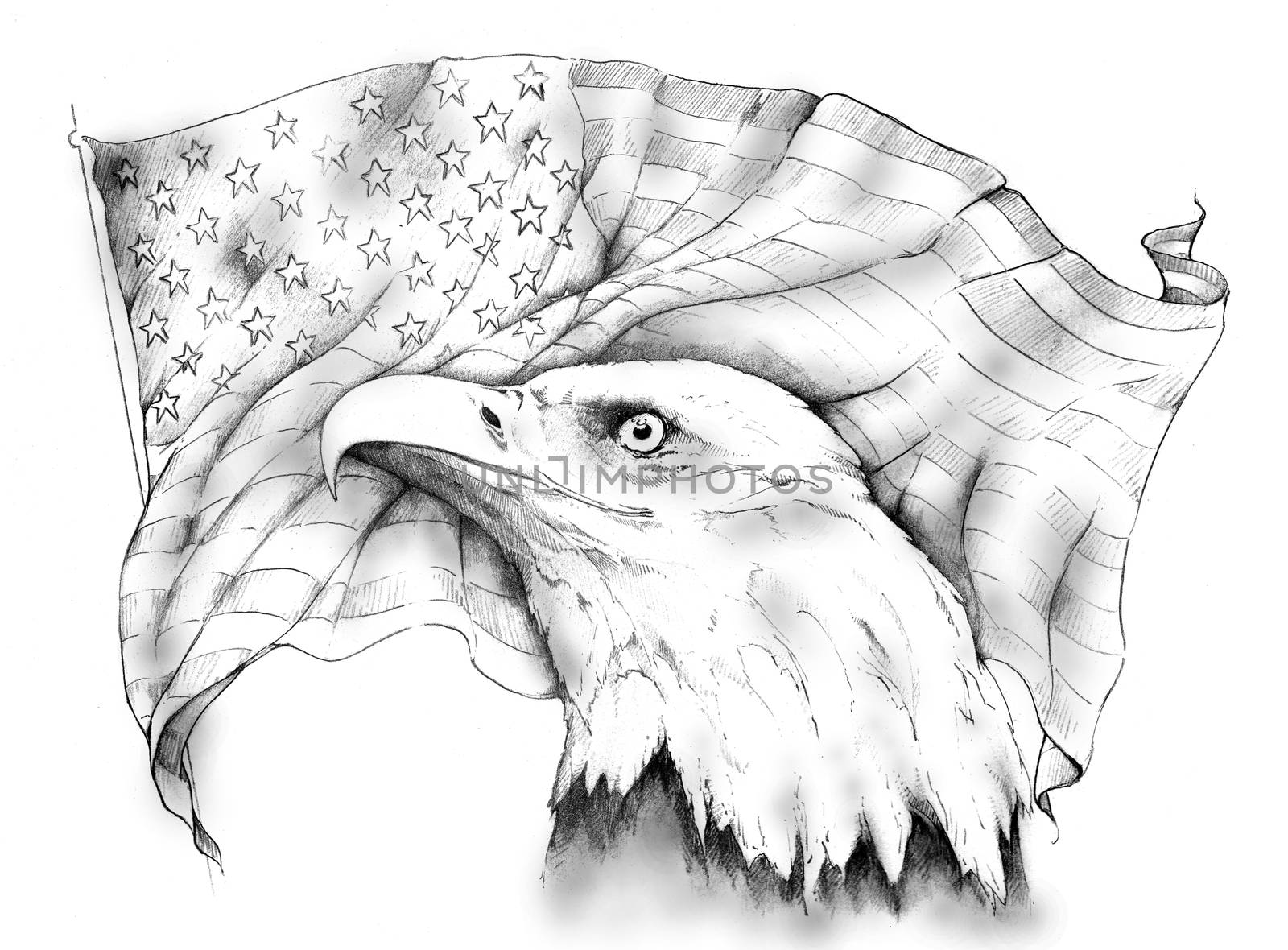 Bald Eagle and American flag by JONG23