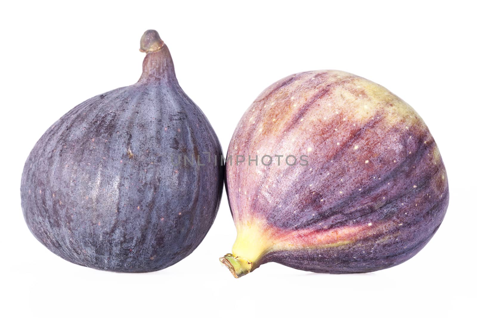 Fruits of fresh figs isolated on white background.
