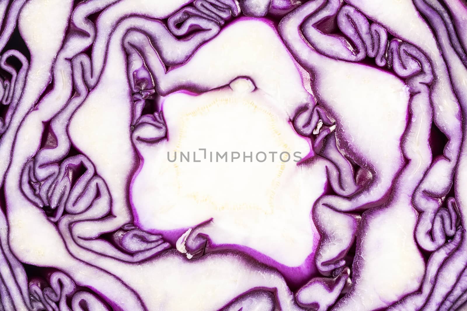 Background of cut red cabbage, abstraction by mychadre77