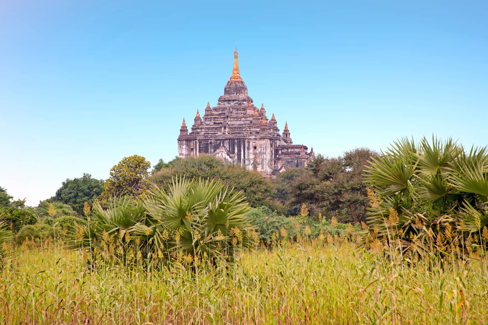 Ancient pagoda in the landscape from Bagan in Myanmar