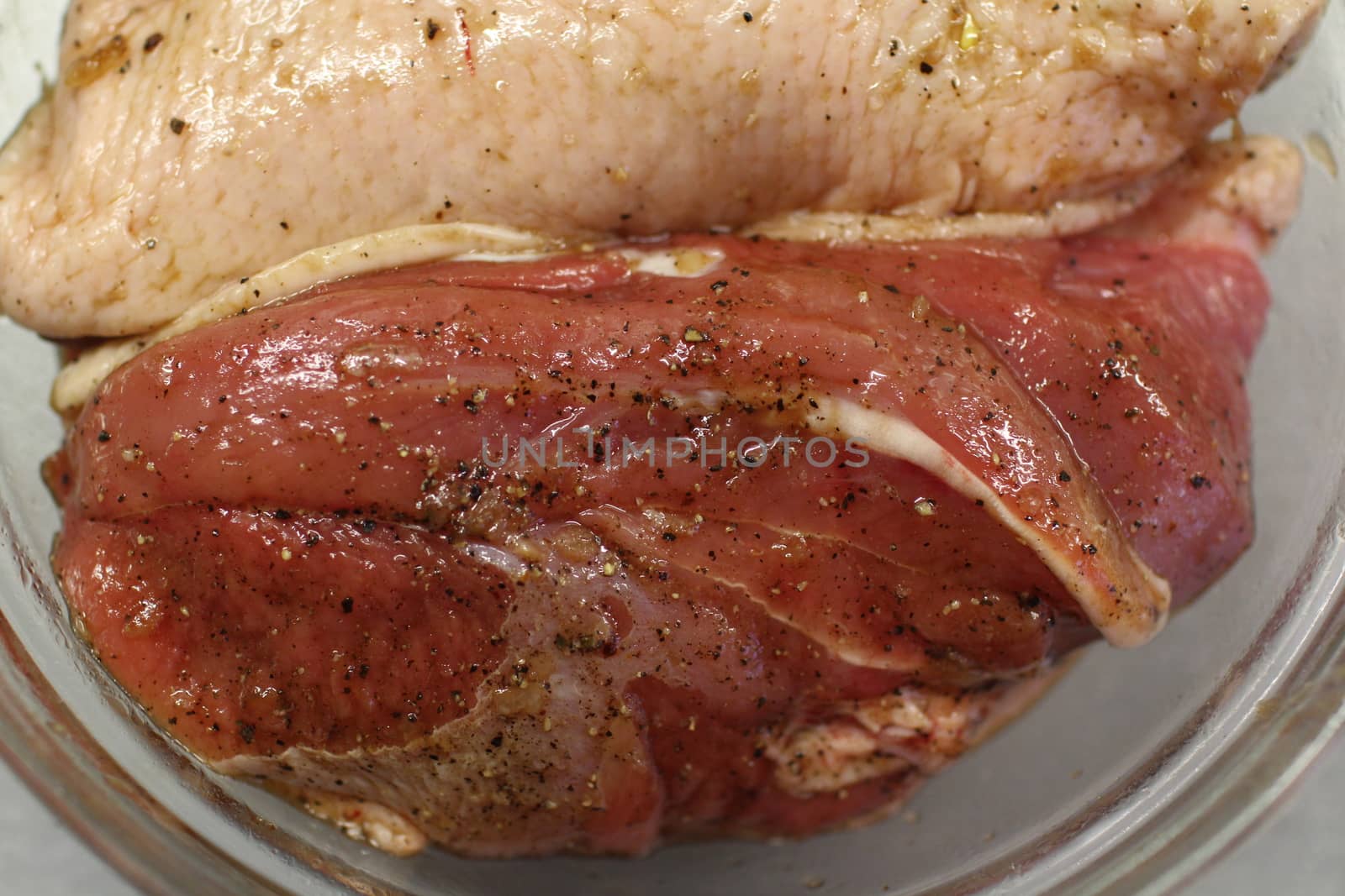 raw meat duck with spices  by mrivserg