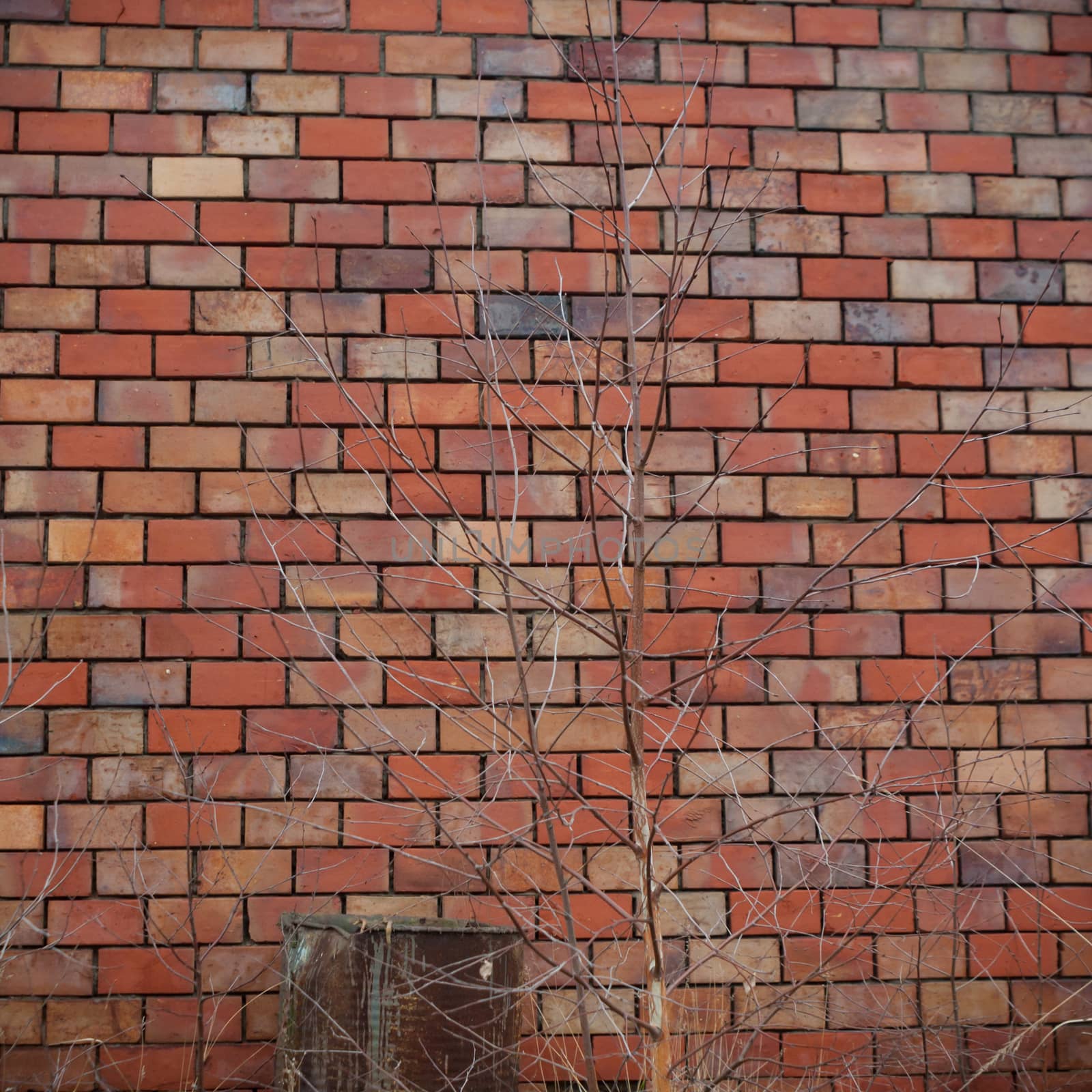 wide angle view of an old wall abandoned factory building