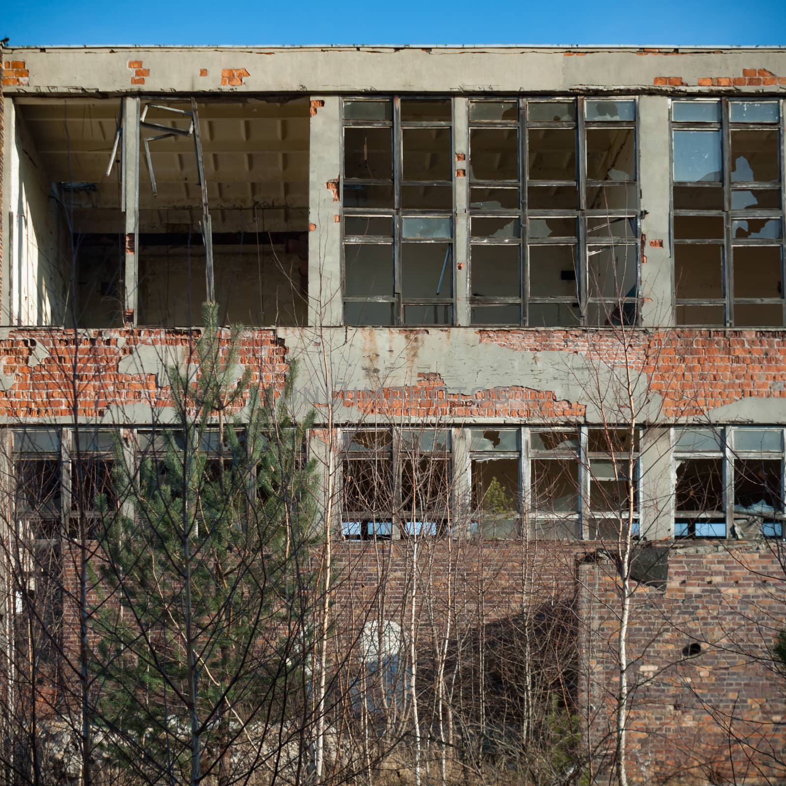 discarded ruin with old windows and wall, industrial window in concrete wall
