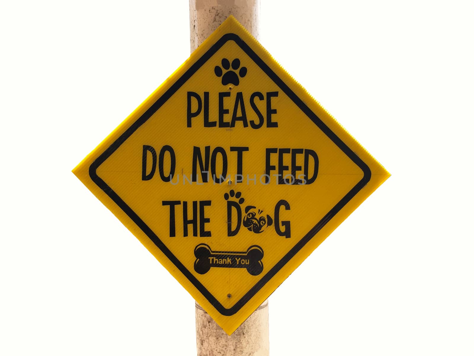 Yellow Sign Do not Feed the Dog. Signboard wildlife sign.