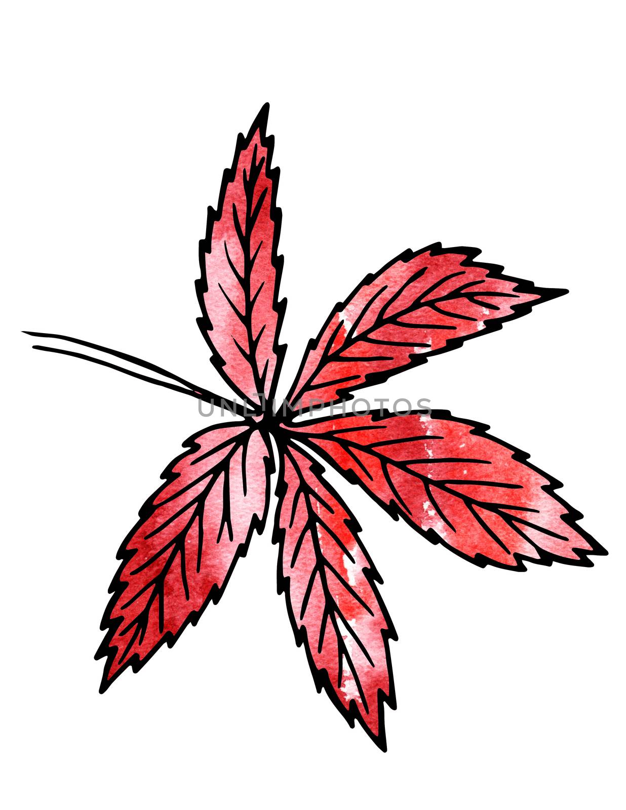 Red Plant leaves. Hand drawing and computer processing. For design - the nature, the sights, medicinal plants, gardens, landscape design