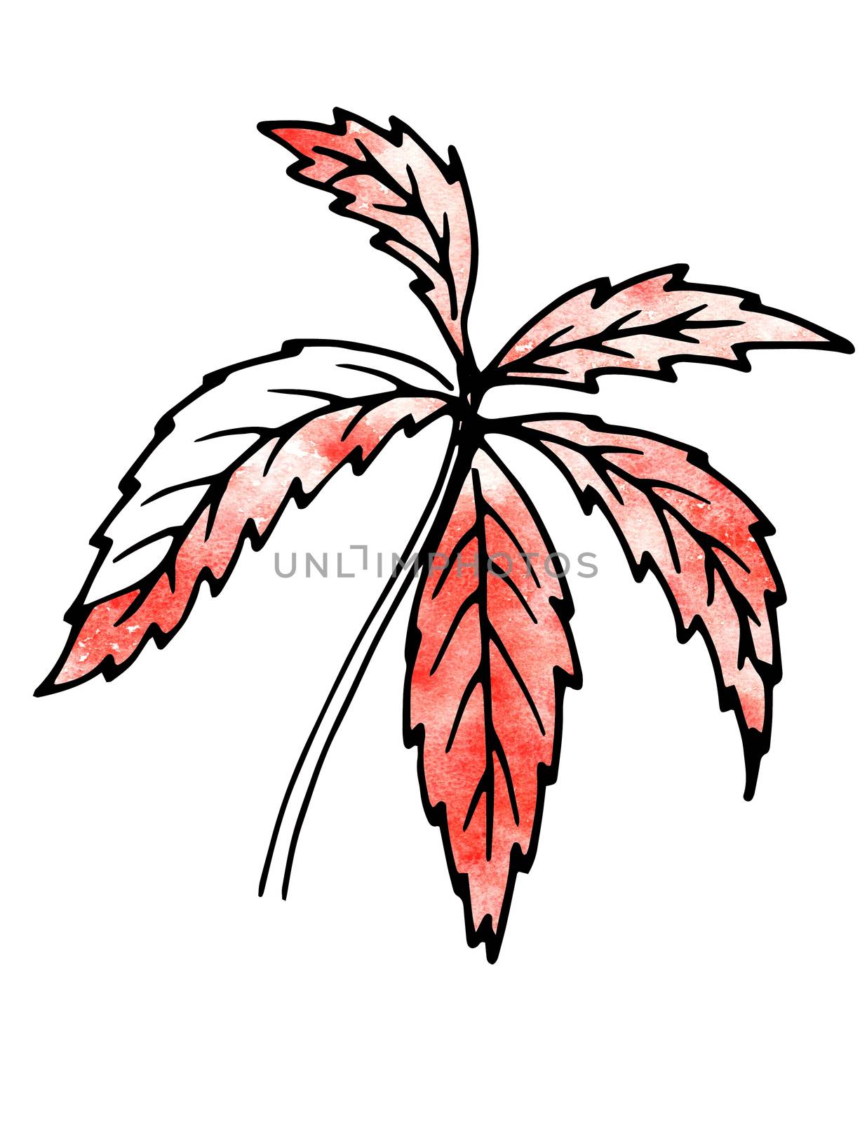 Red Plant leaves. Hand drawing and computer processing by Julia_Faranchuk