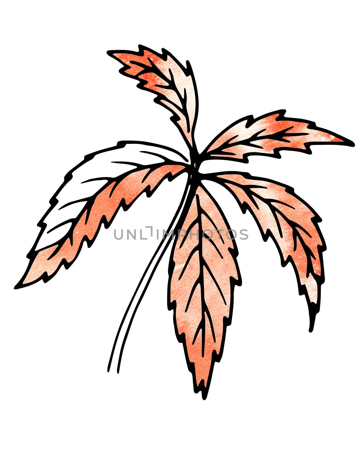 Beige Plant leaves. Hand drawing and computer processing. For design - the nature, the sights, medicinal plants, gardens, landscape design