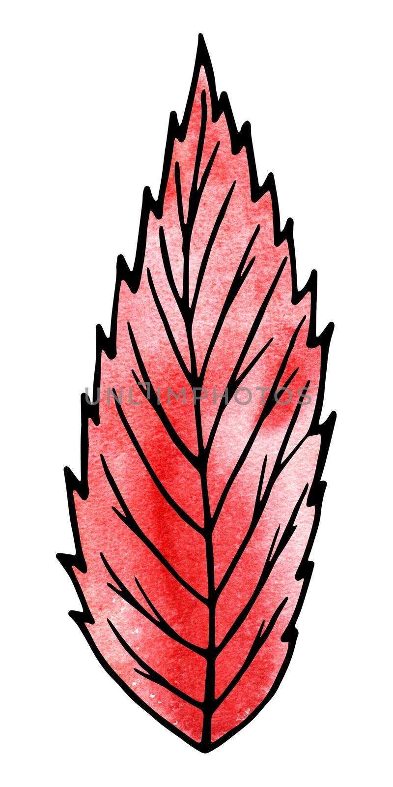 Red Plant leaves. Hand drawing and computer processing by Julia_Faranchuk