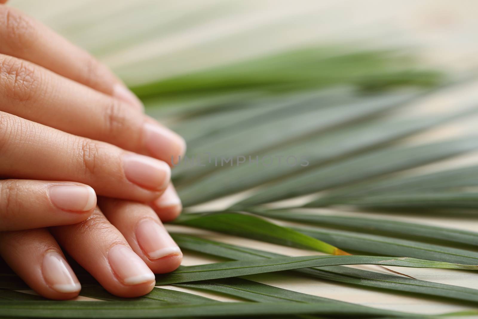 Skin care. Hands in close-up