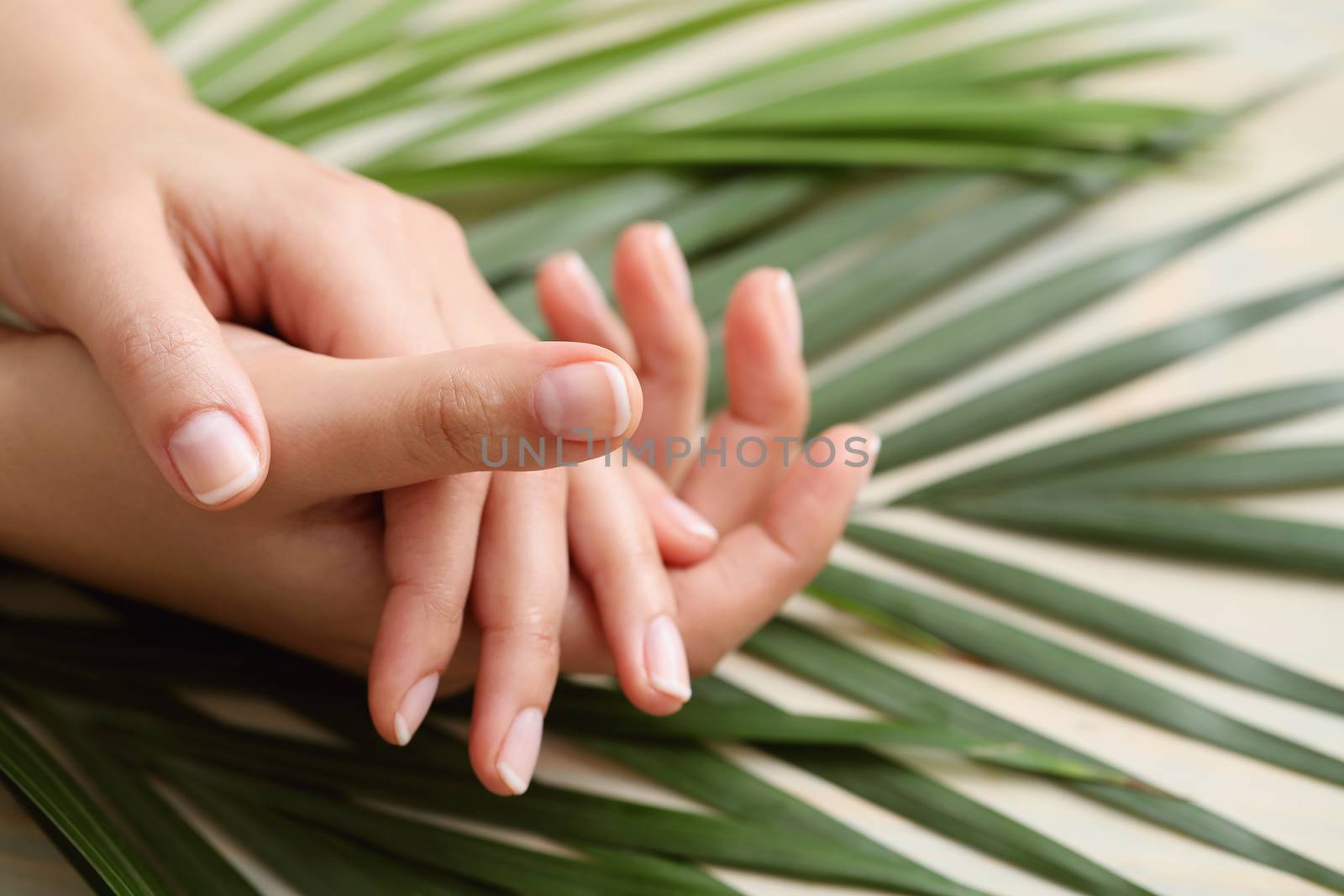 Skin care. Hands in close-up