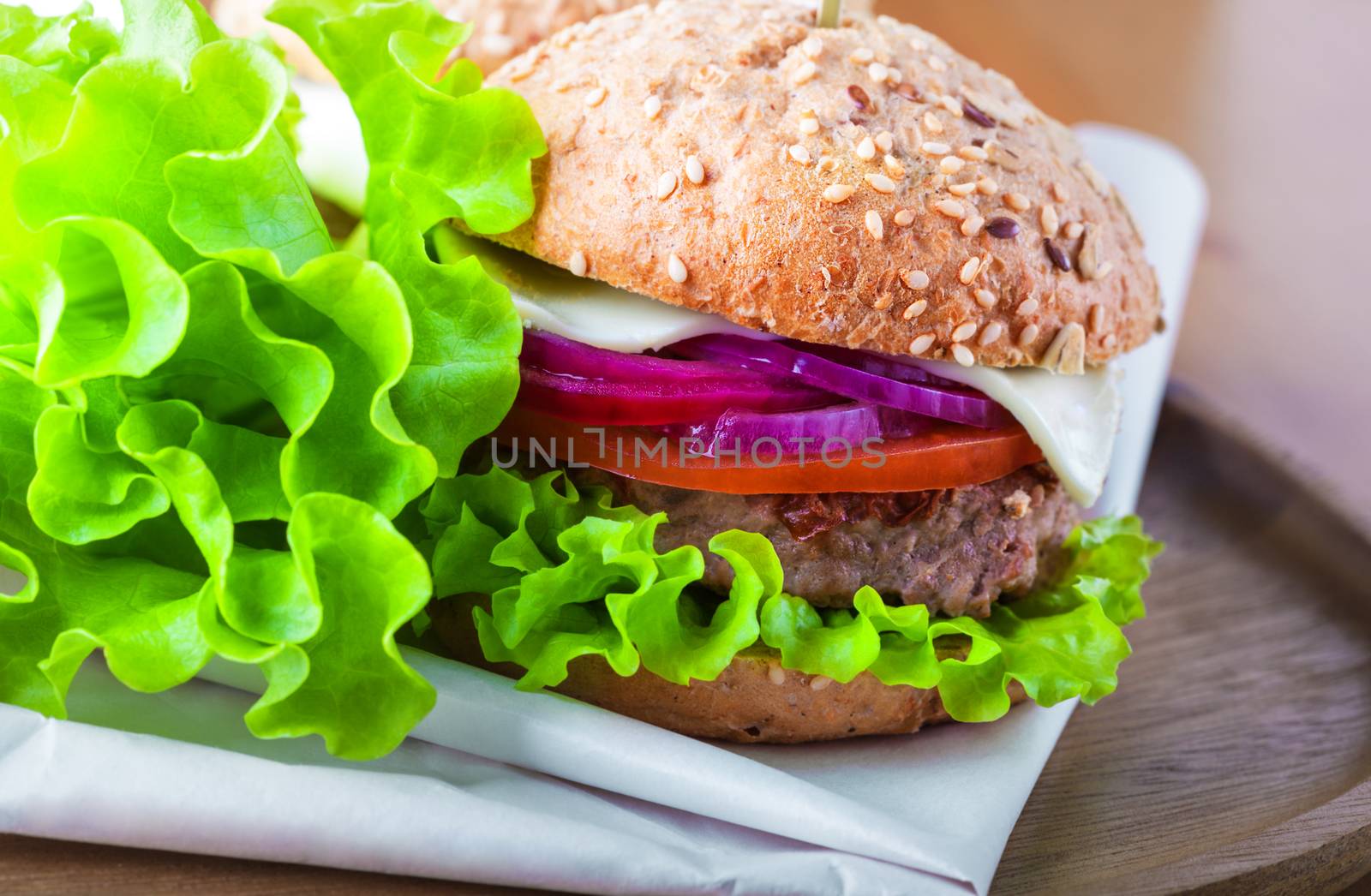 Cheeseburger with salad, onion by supercat67