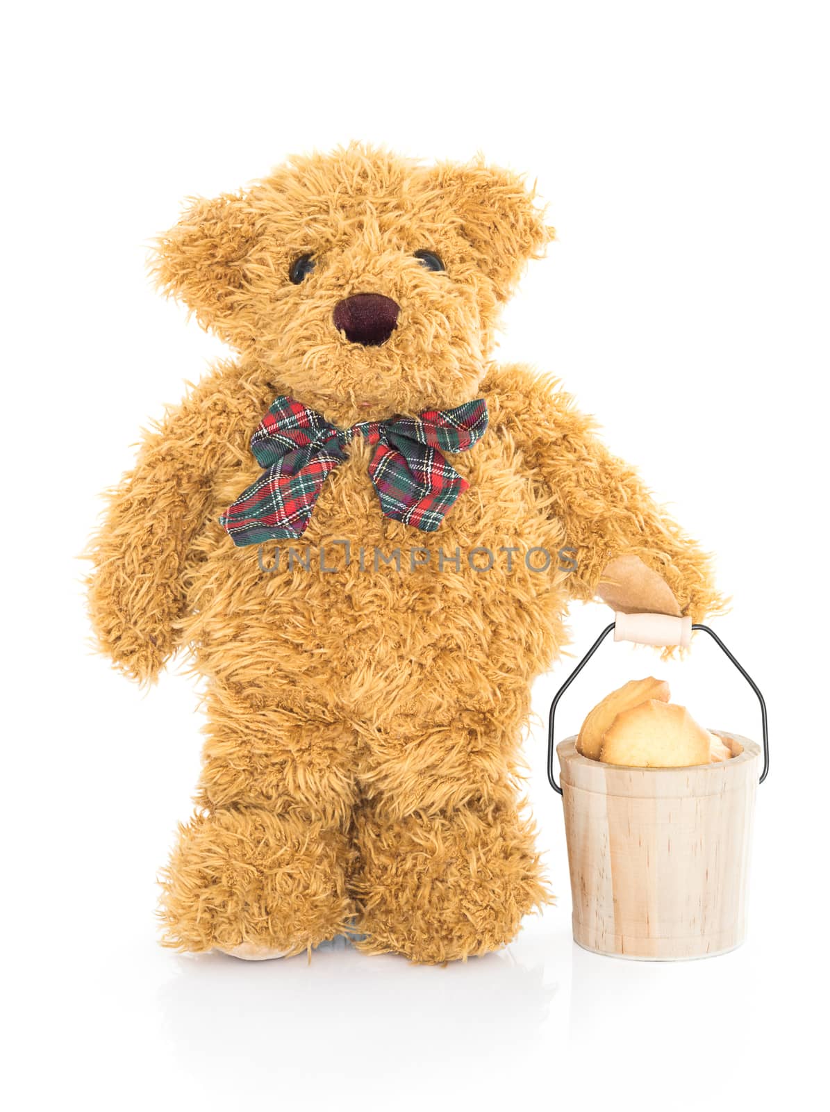 Teddy bear holding cookie bucket on white background