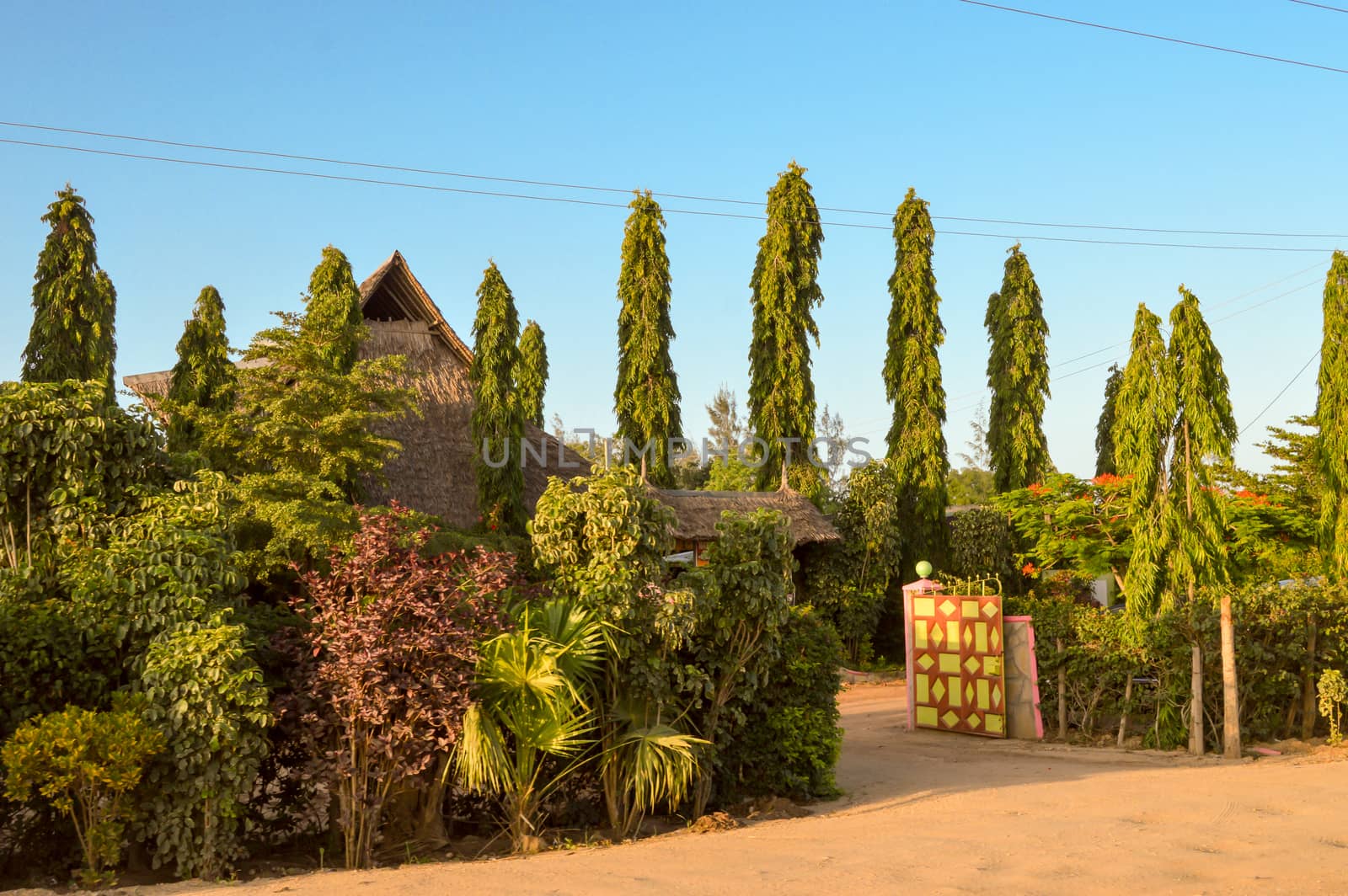 Superb garden of a hotel on the road  from Mombasa to Nairobi in Africa