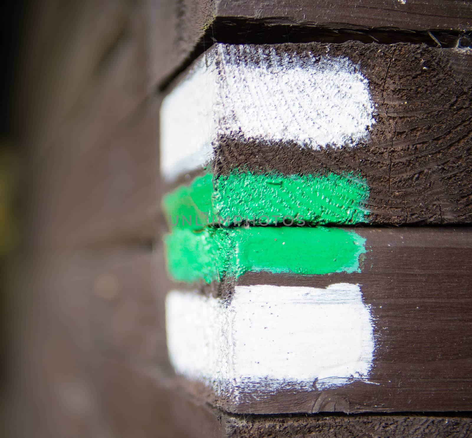 Hiking green and white arrow sign on wooden wall corner, typical for czech tourism, providing guidence, touristic navigation or directions, copyspace with blurred background