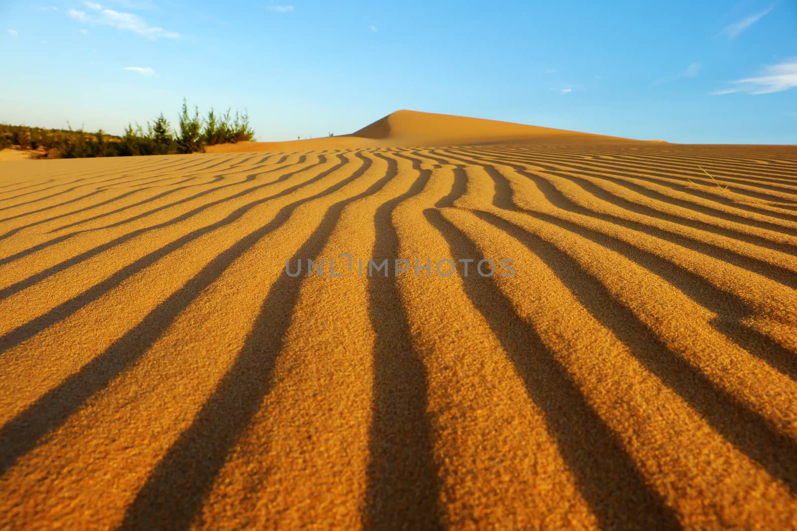 Wonderful landscape for Vietnam travel, abstract with shape of Bau Trang sand hill under sky in summer, a beautiful place for tourism, sand desert so amazing