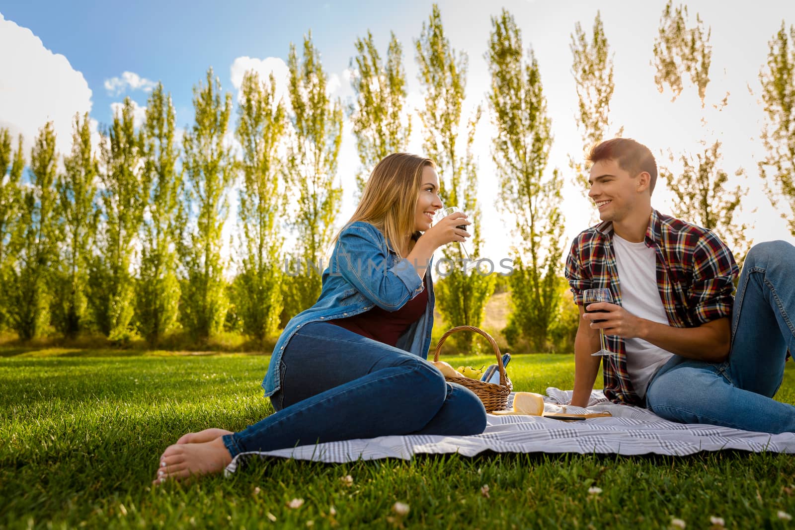 Shot of a beautiful couple on a picnic and making a toast