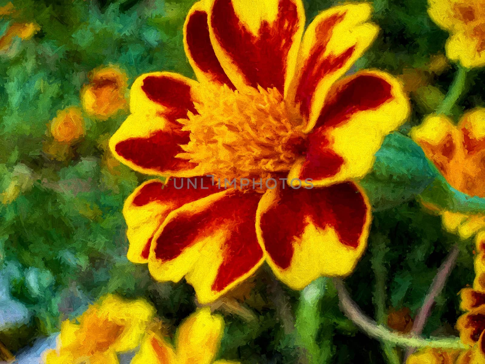 Yellow red flowers on green background. Digital painting. by ankarb