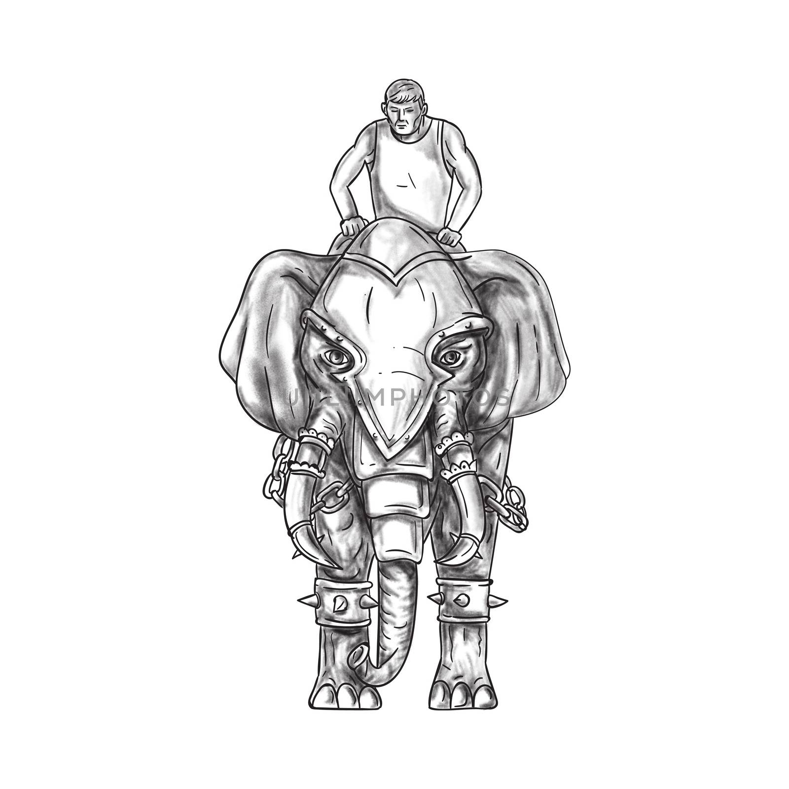 Tattoo style illustration of a war elephant with mahout rider riding viewed from front set on isolated white background. 