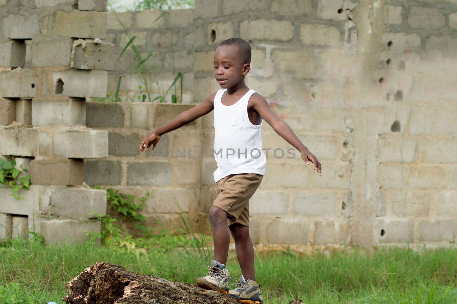 This child is testing his balance while walking on the tree trunk.