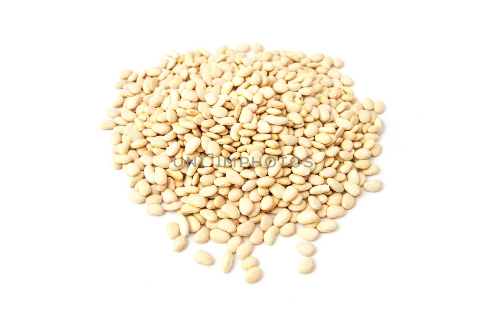 Natural and organic edible dry bean pictures