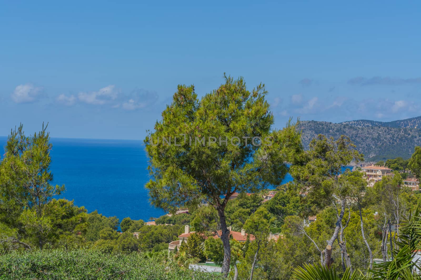 Panorama of the bay Paguera photographed from the mountain in Costa de la Calma.