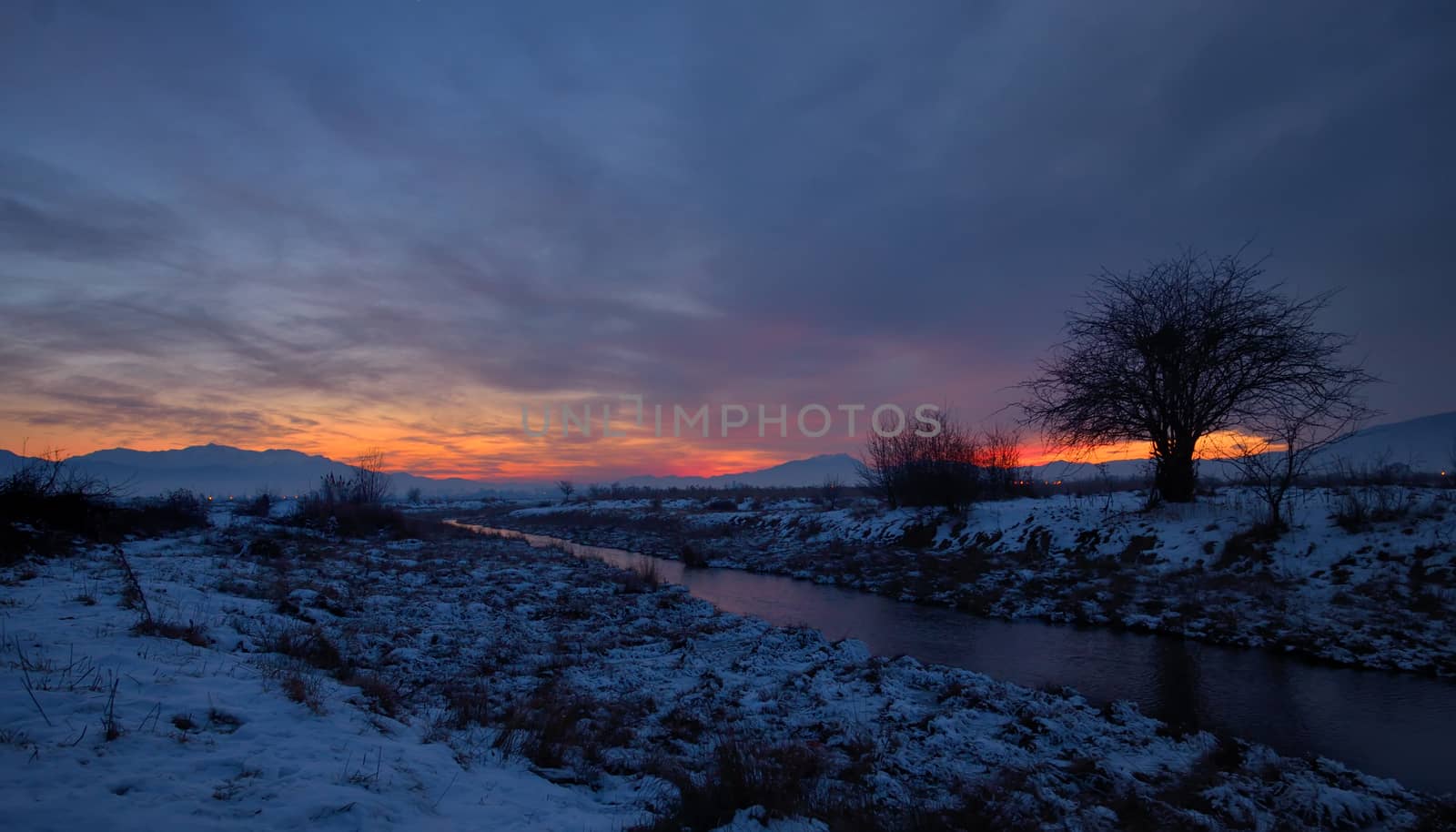 sunset with tree shadow and snow