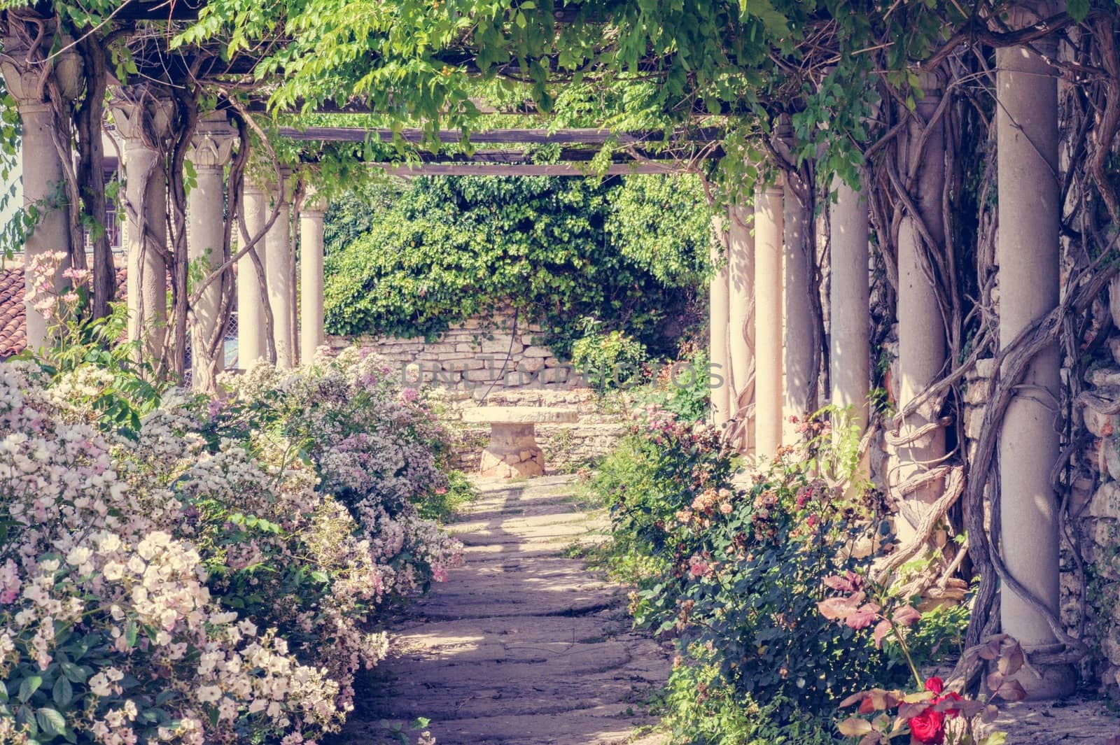 Old romantic tranquil vintage garden with columnS