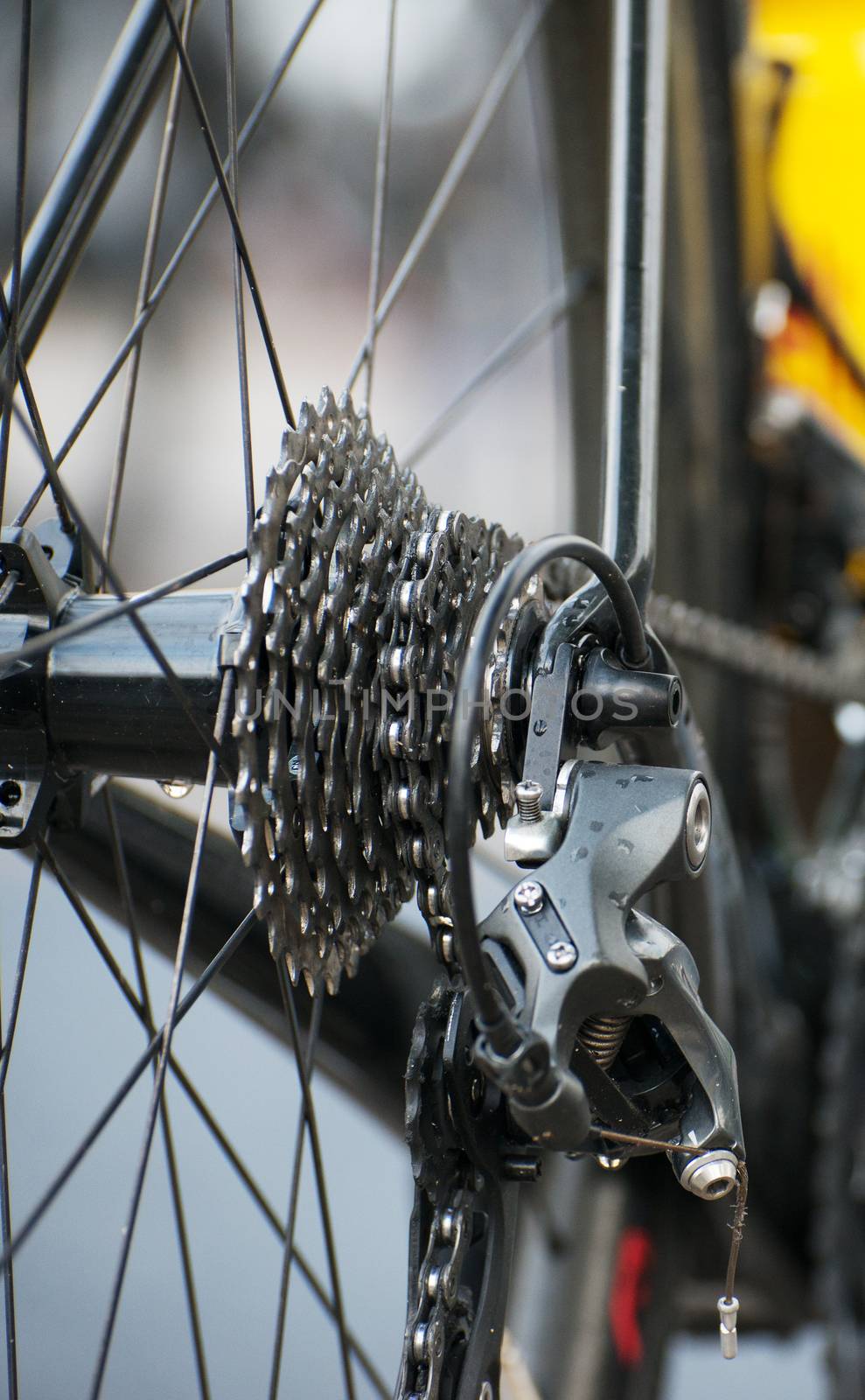 Rear wheel of sports track bike.