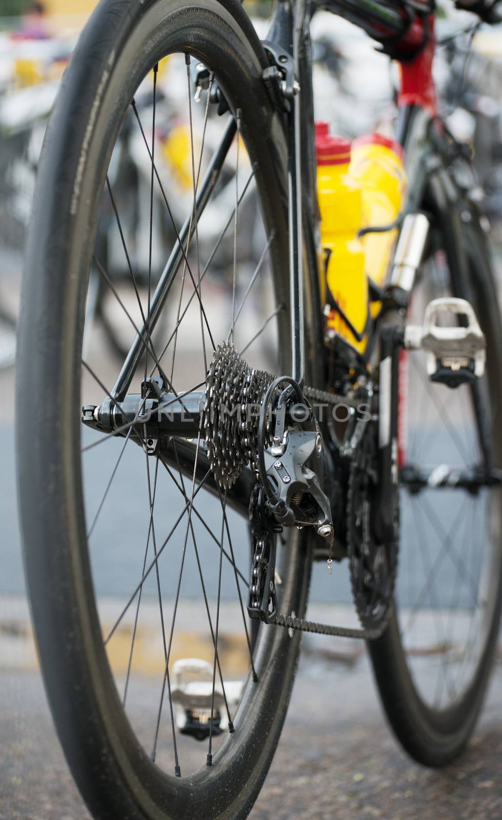 Rear wheel of sports track bike. by dmitrimaruta