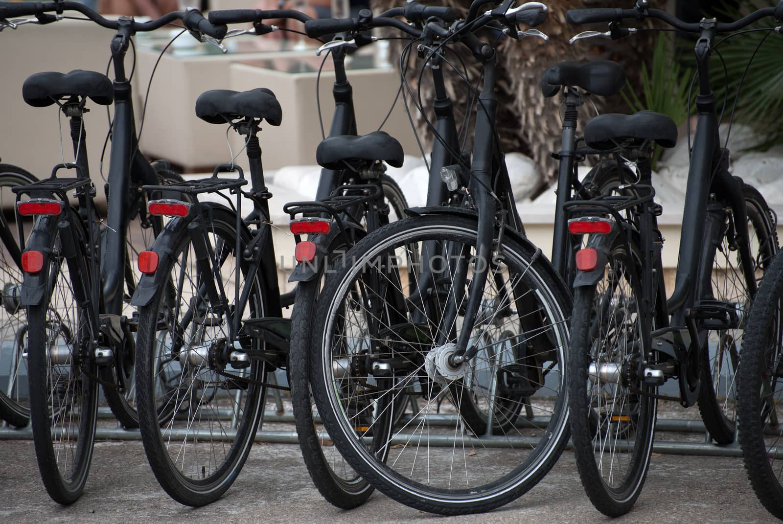 Bicycles on the street. Bike rental service.