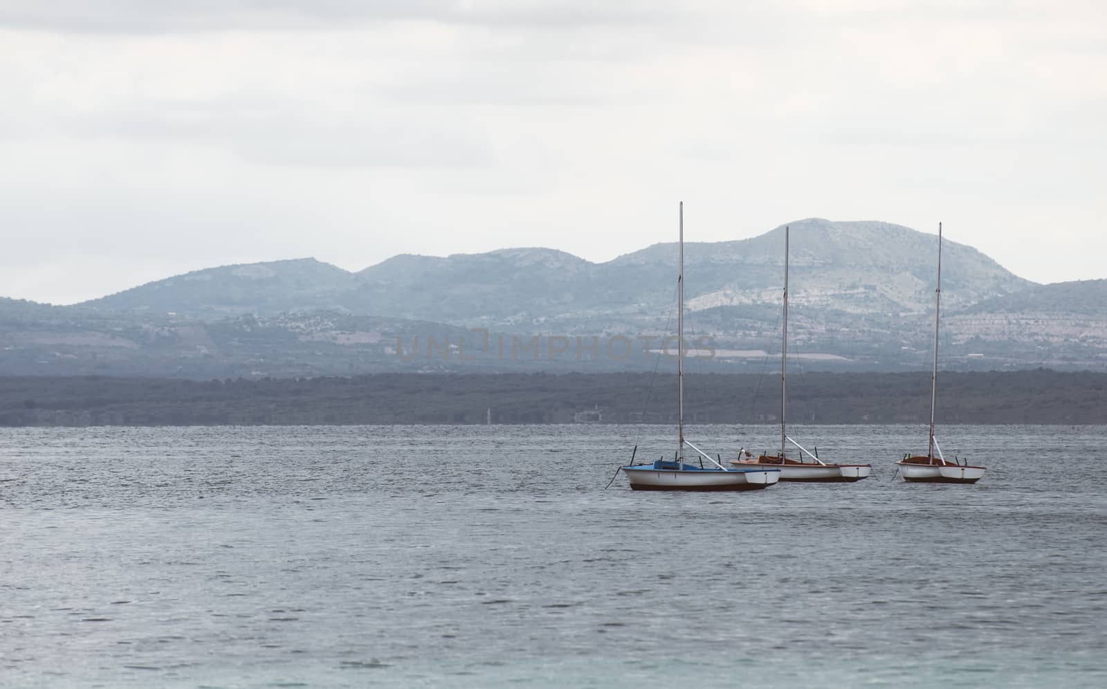 Yachts in the bay at morning.