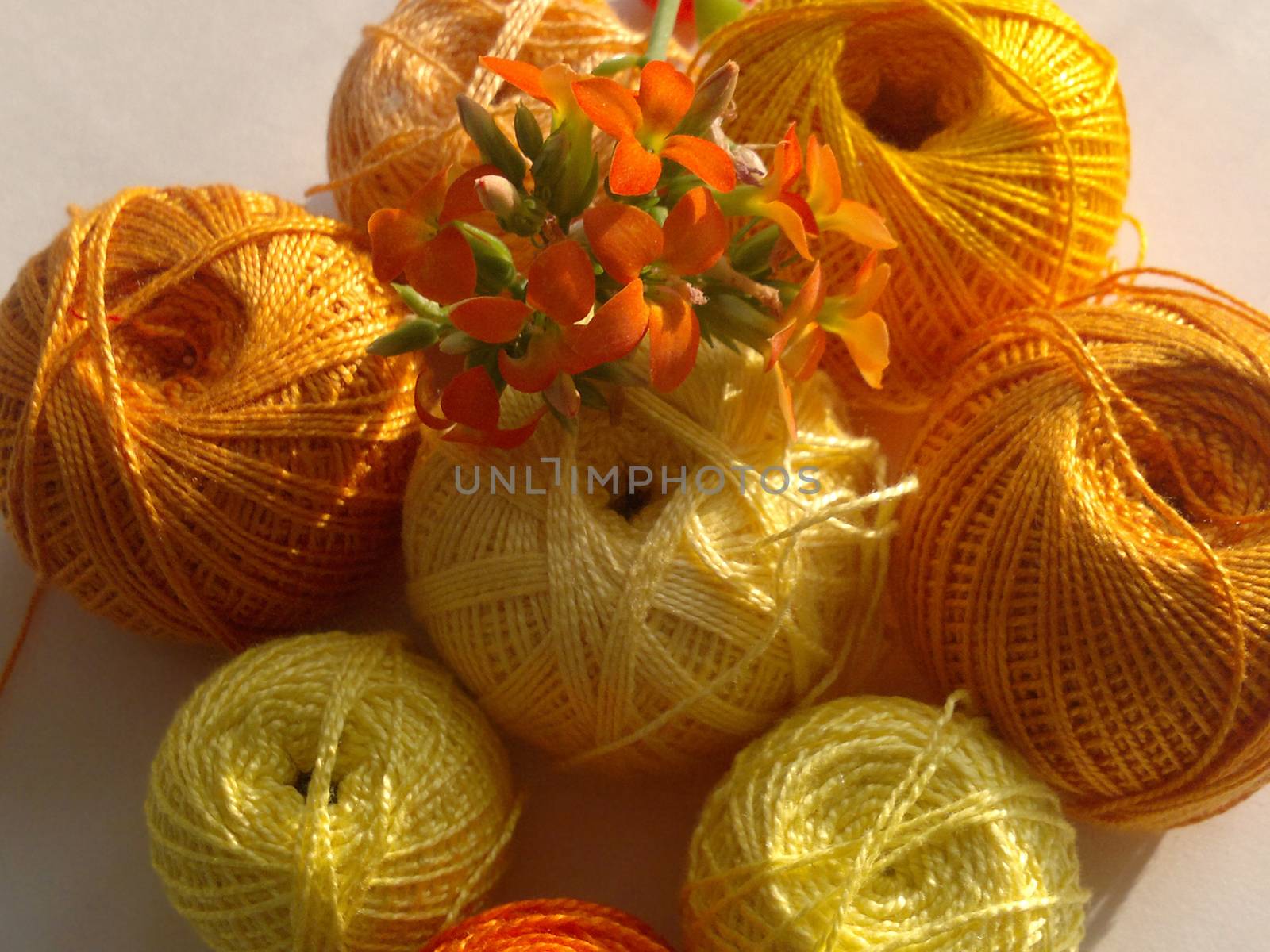 fingering yarn, orange-yellow tint by elena_vz
