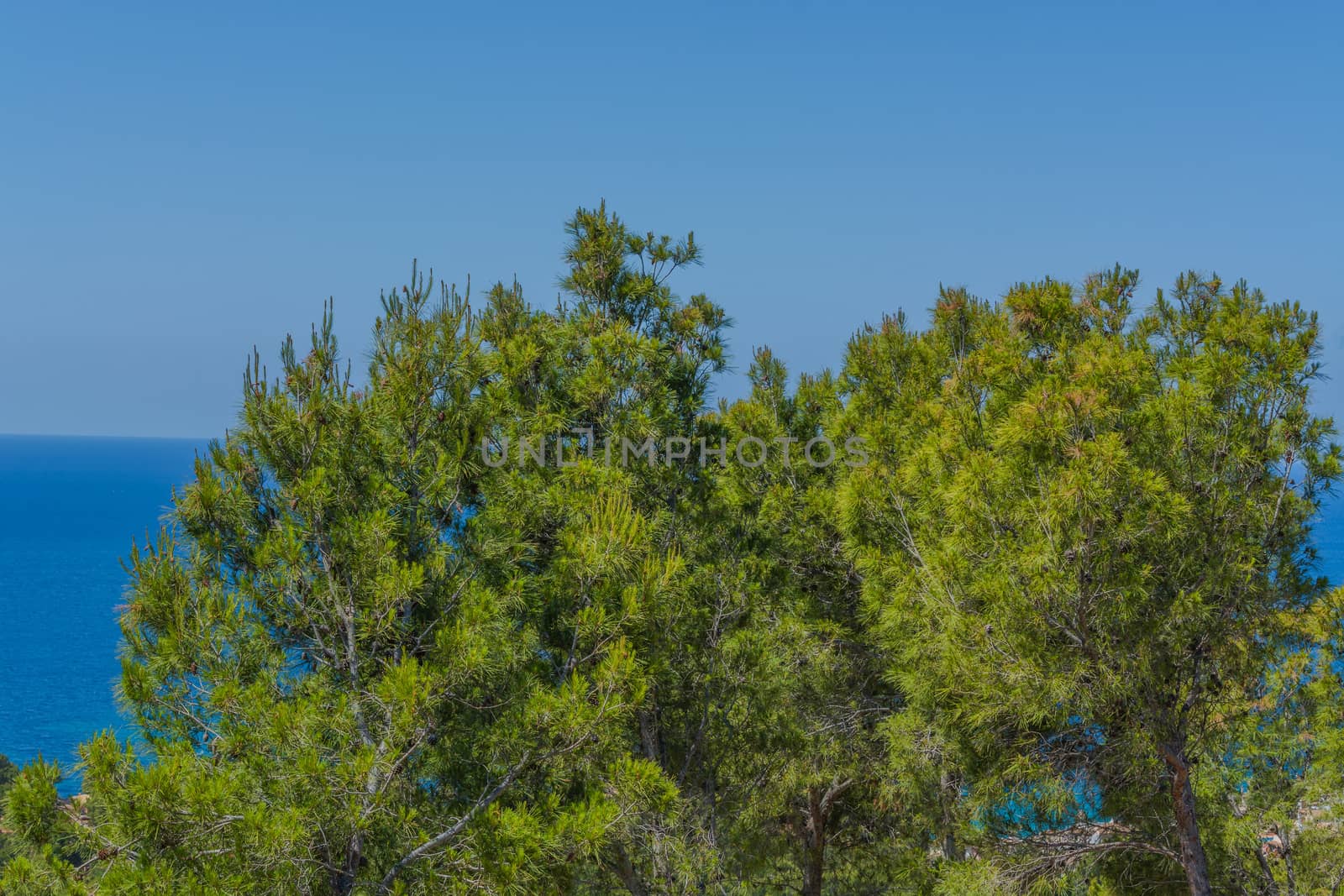 Panorama of the bay Paguera photographed from the mountain in Costa de la Calma.