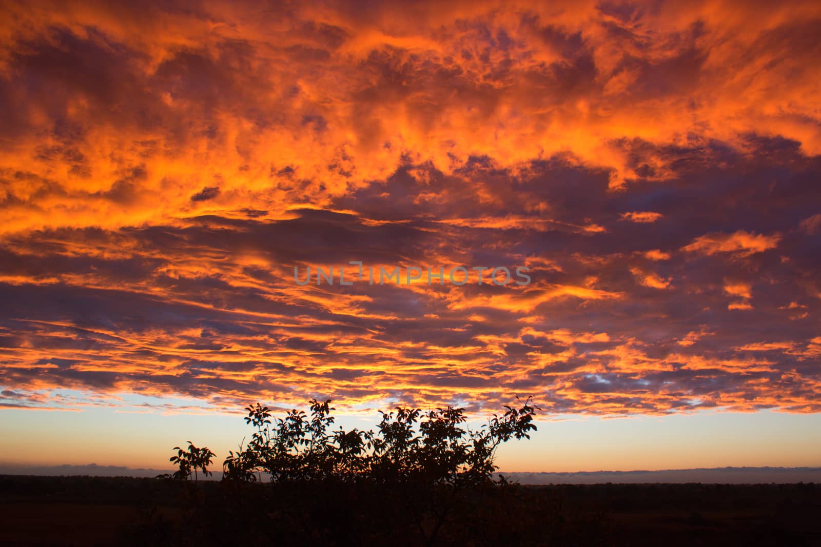 Dramatic sunset like fire in the sky with golden clouds