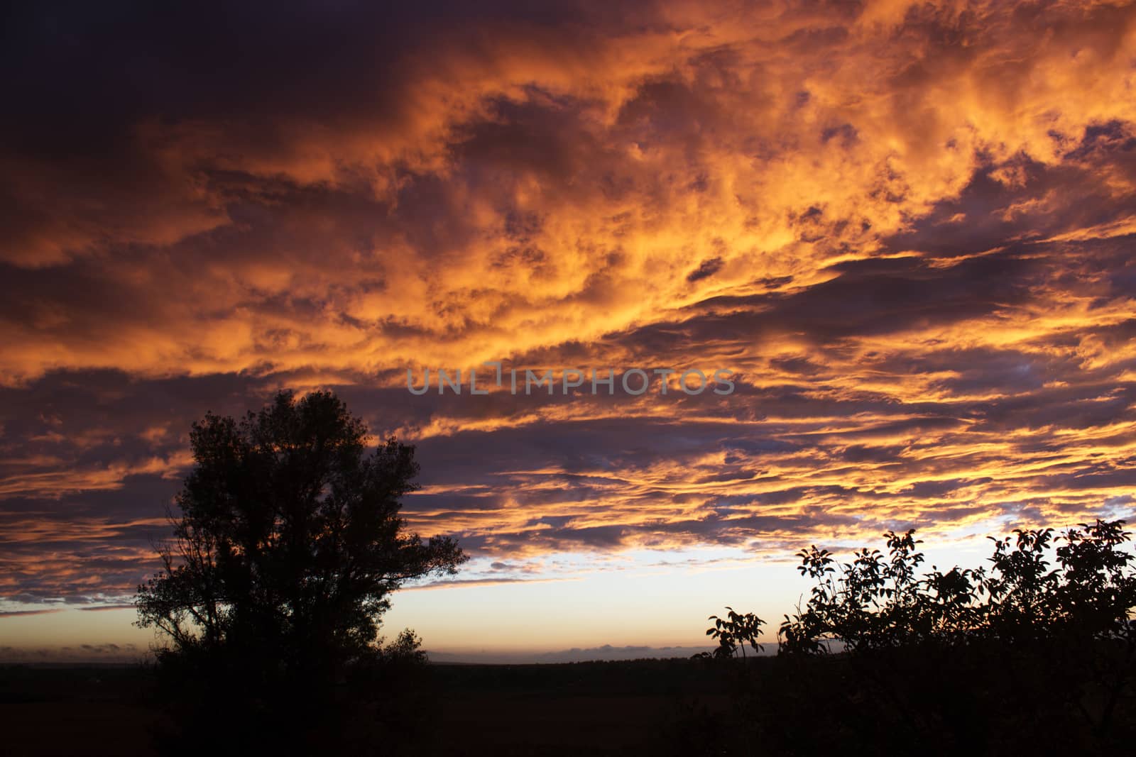 Dramatic sunset like fire in the sky with golden clouds