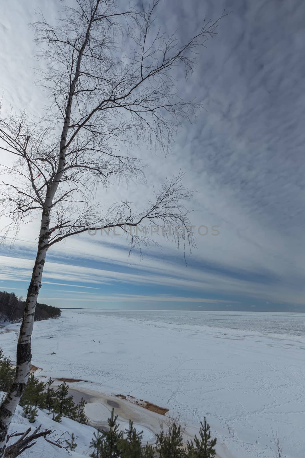 winter snow sea coast Baltic Sea Latvia Saulkrasti