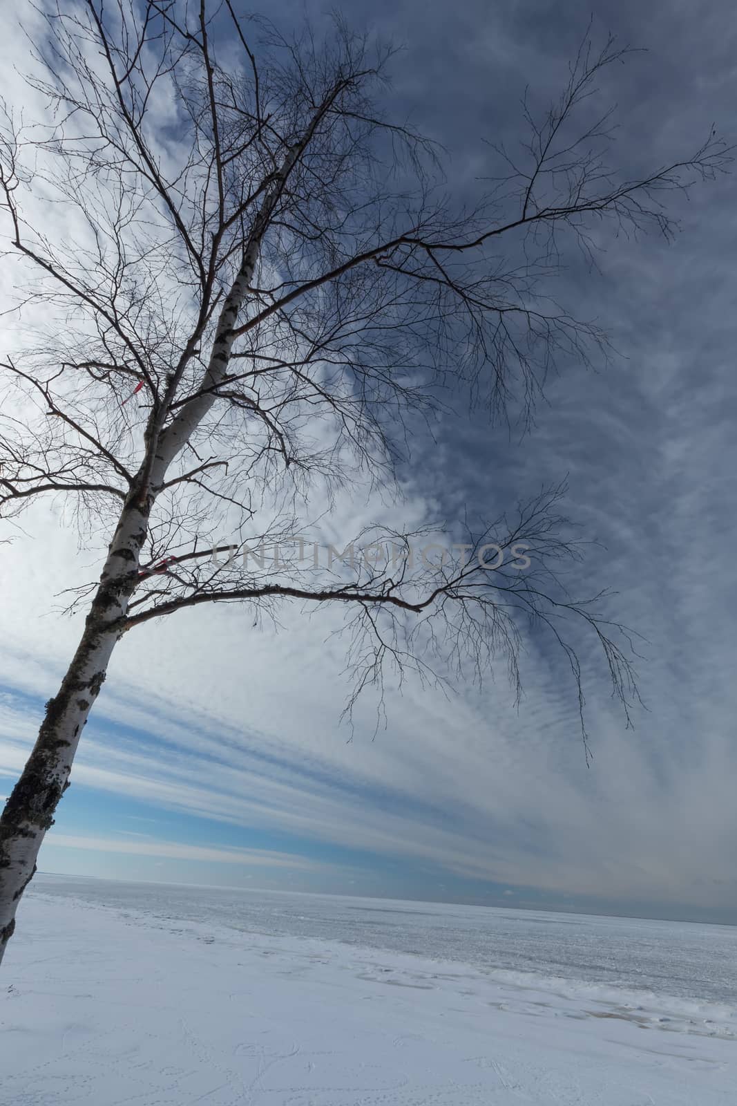 winter snow sea coast Baltic Sea Latvia Saulkrasti