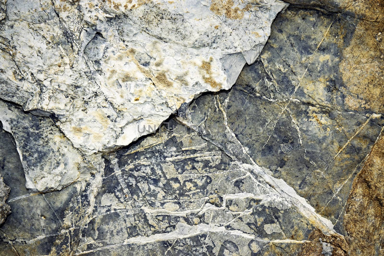 abstract background or texture detail of an old cracked limestone rock