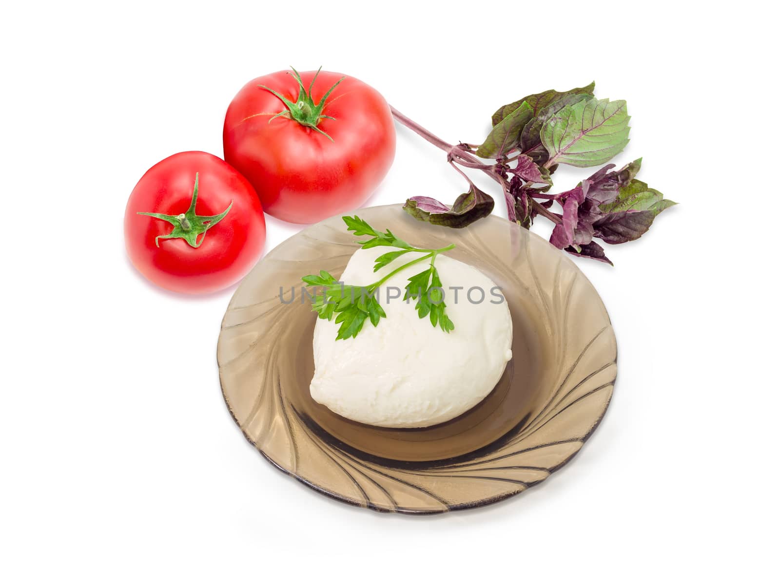 Ball of the fresh soaked mozzarella cheese on the dark glass saucer, tomatoes and twigs of parsley and purple basil on a light background
